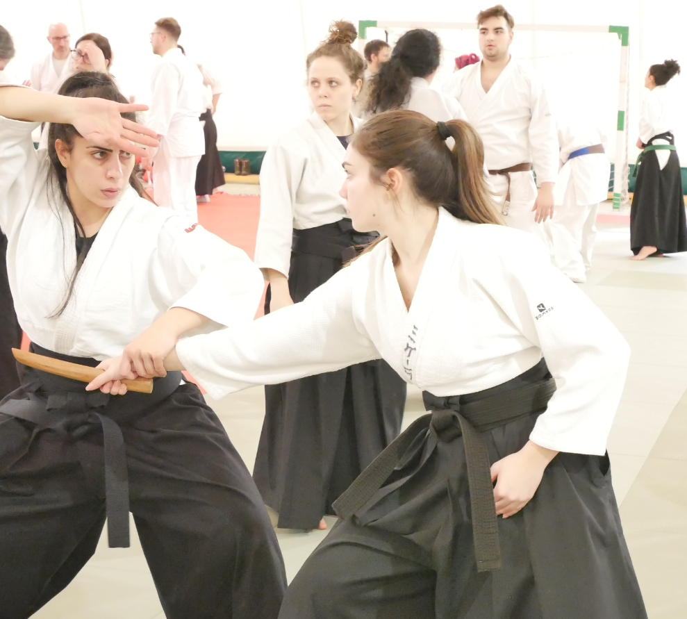 Un viaggio di formazione in Giappone per i nostri allievi by Hontai Yoshin Ryu