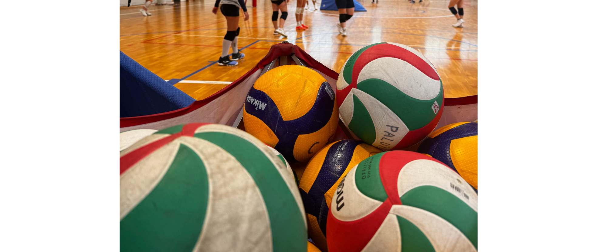 Acquisto Palloni per il volley S3